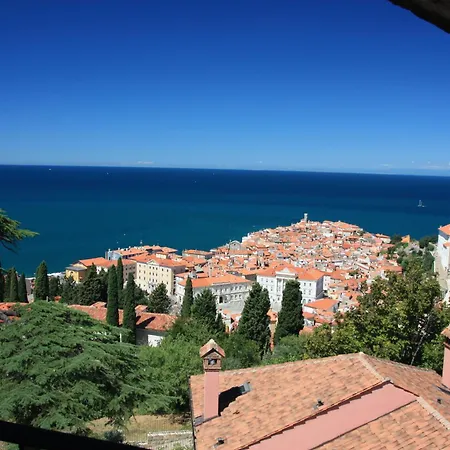 Deluxe - A23796 * Fjesa